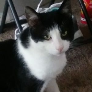 Meet your Posher, Charles